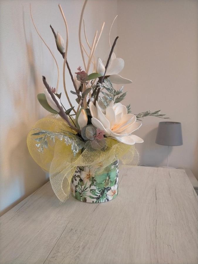 Uliveto Terme Casa Moki 아파트 외부 사진